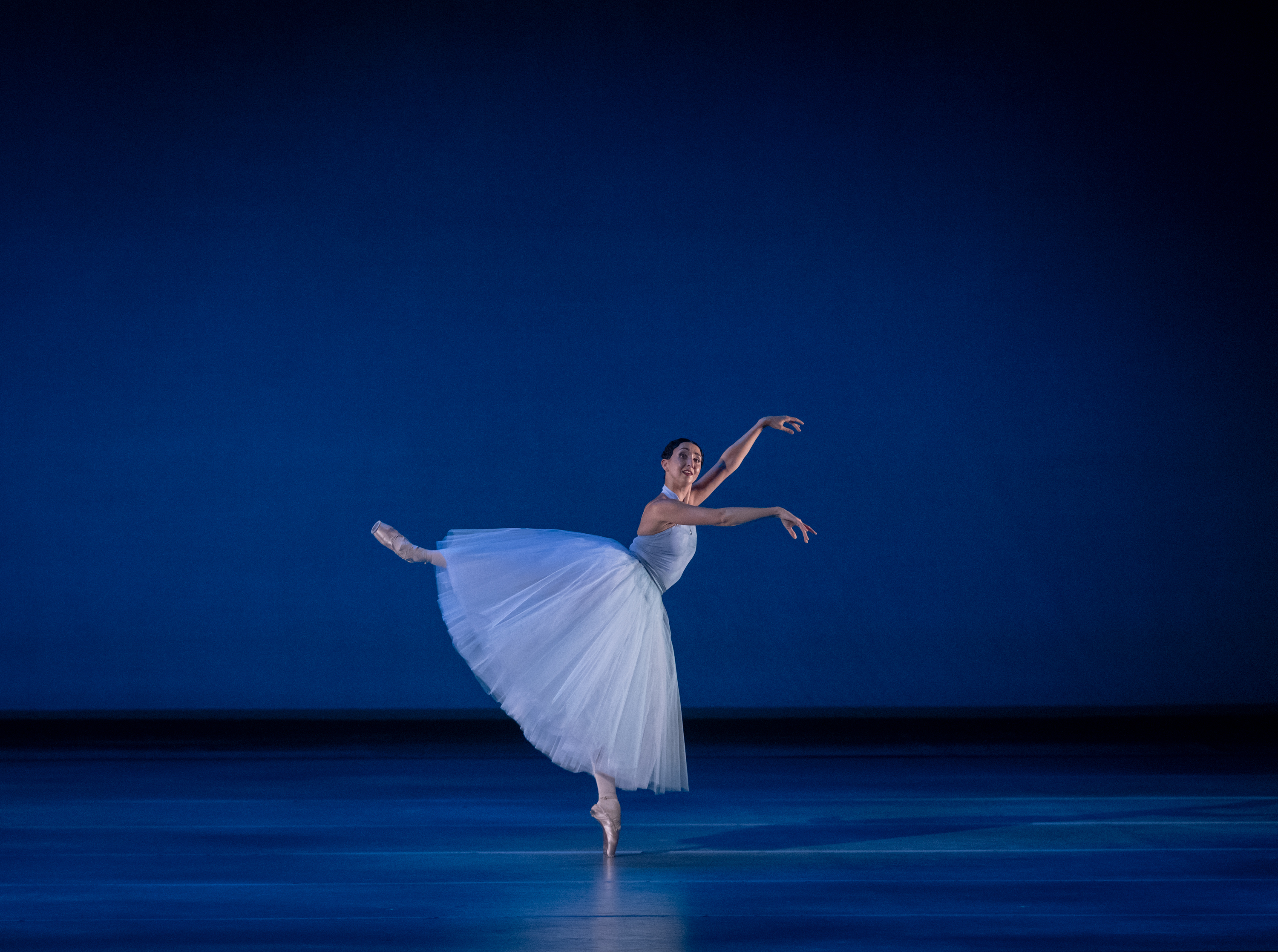 Отражения. Королевы вариаций