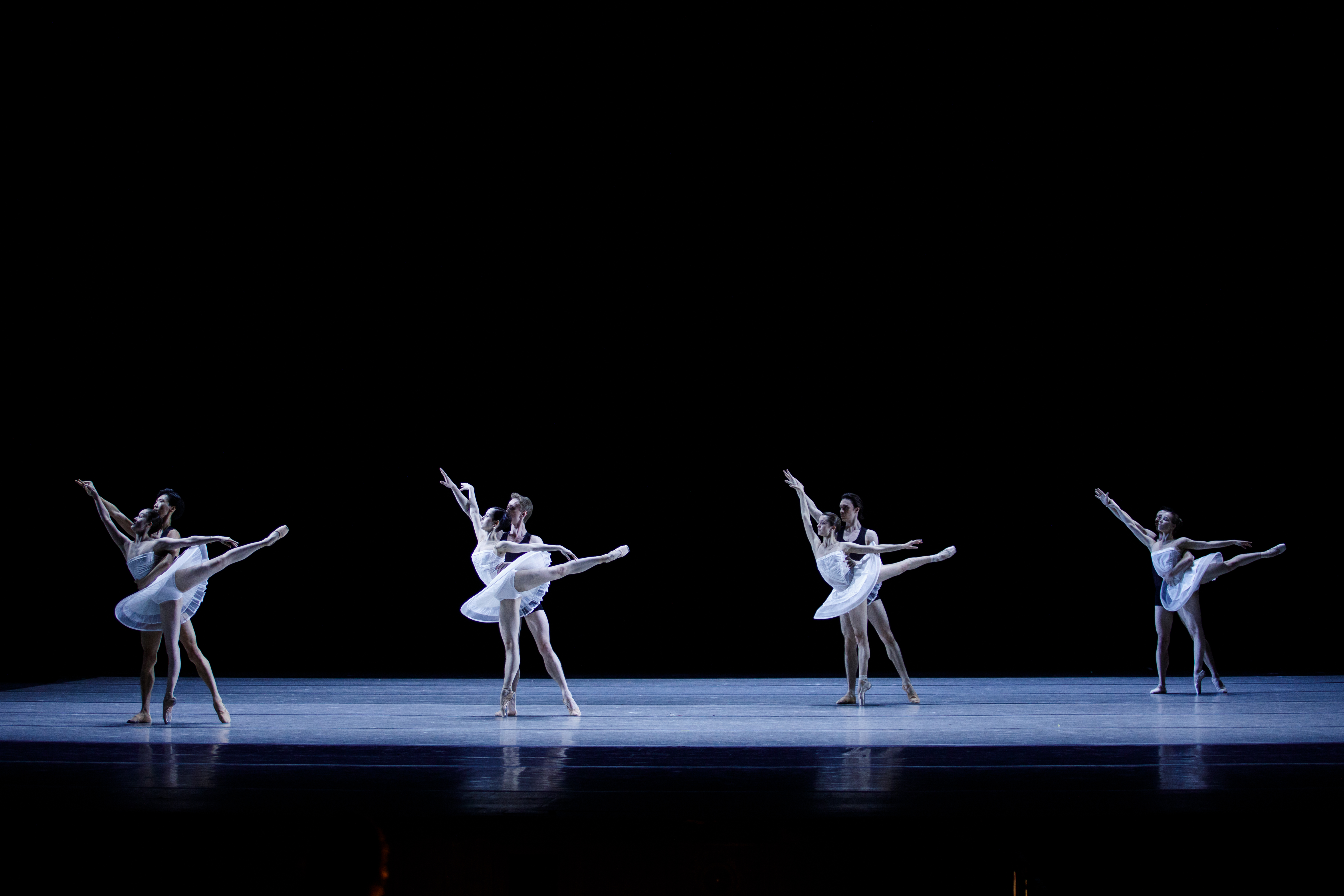 Отражения. Королевы вариаций