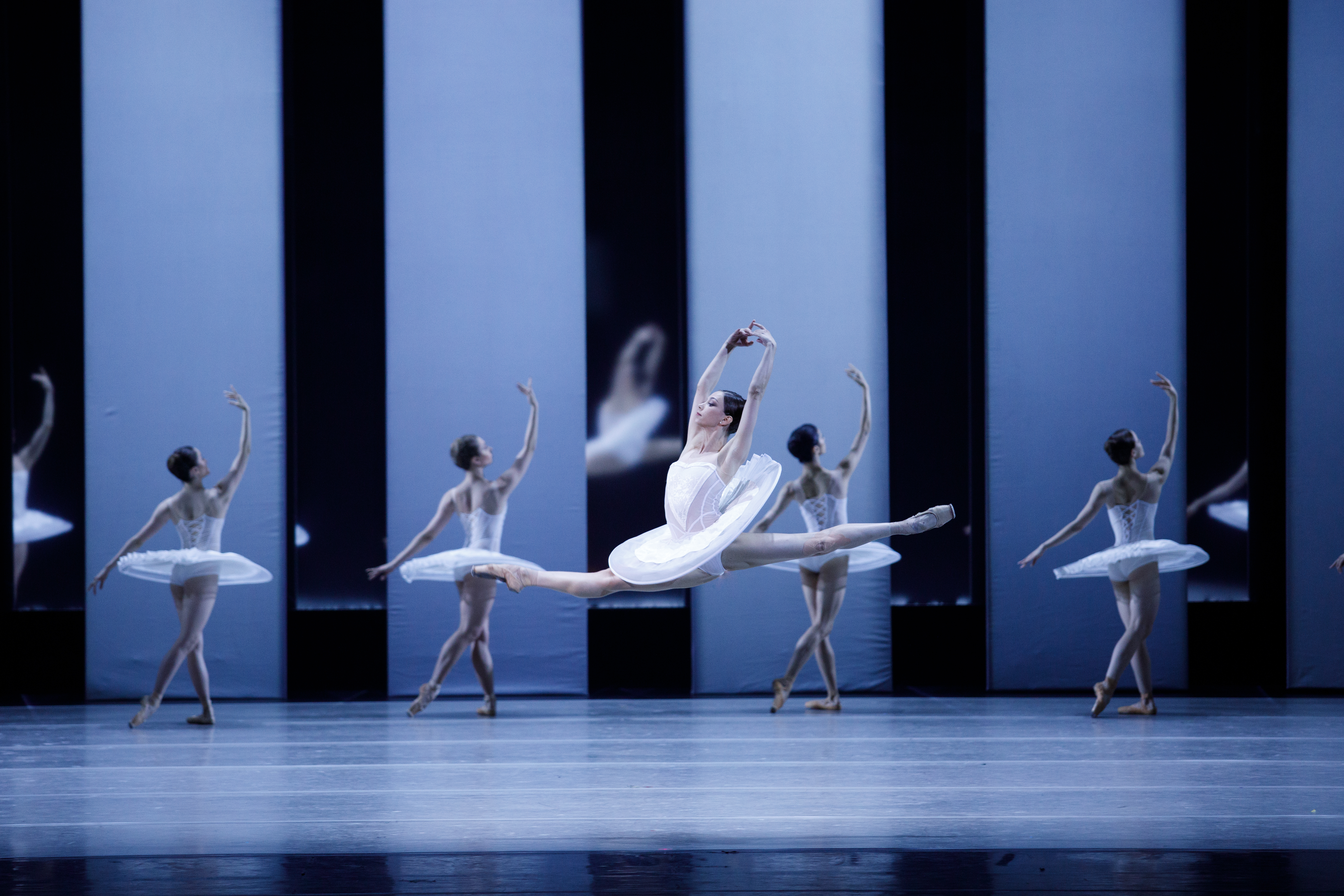 Отражения. Королевы вариаций